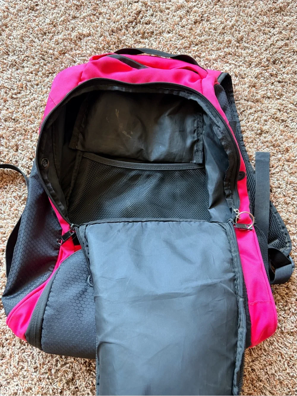 Pink & Black Daypack Backpack - Lightweight Outdoor Pack